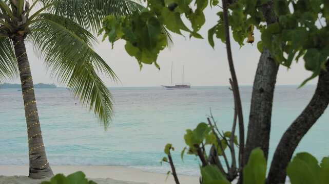 A static wide shot of a tranquil Maldives beach with turquoise lagoon water and gentle waves, framed by lush tropical foliage and a coconut palm, while a two-masted sailing yacht rests offshore.