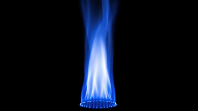Blue gas flame burning on gas burner isolated on black background
