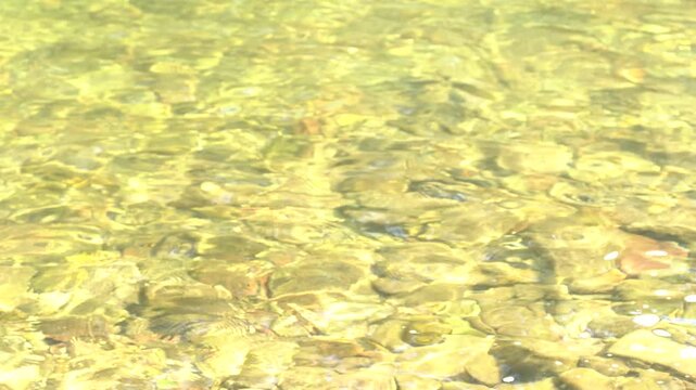 River water ripples making an abstract texture of water in motion, background