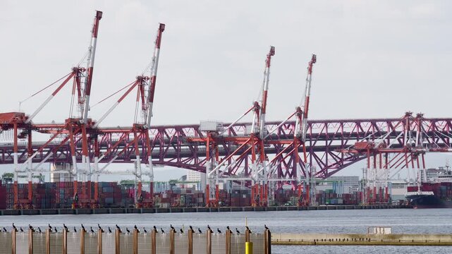 大阪南港のコンテナターミナルに並ぶ大型のガントリークレーンとトラス構造の赤く大きい港大橋