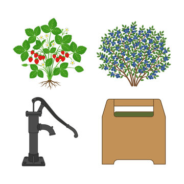 Set of Garden Elements Featuring Strawberry Plant Blueberry Bush Water Pump and Wooden Crate