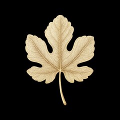 Naklejka premium Golden leaf on black background.