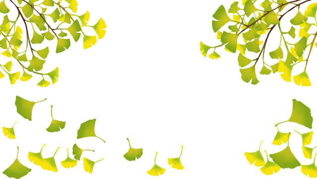 水彩風 新緑のイチョウのフレーム Spring Series:Watercolor-style frame of fresh green ginkgo leaves