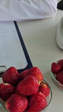 Observing strawberries under a microscope in a lab setting