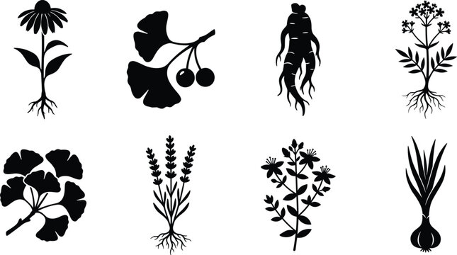 Herbal Plant Silhouettes Set