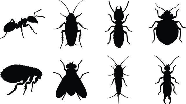 Household Pest Insect Silhouette Icon Set