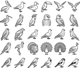 Naklejka premium Wild birds species set featuring eagle parrot toucan duck flamingo peacock turkey pigeon falcon seagull collection graphics