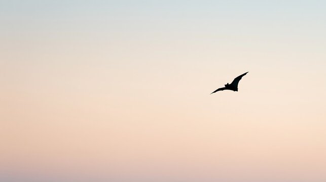 Silhouette of a flying bat against a pastel evening sky with copy space, conceptual image for bat genetics, longevity research, disease resistance and comparative genomics