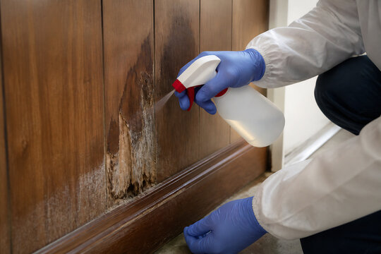 A person in a white coat and blue gloves is spraying a wooden baseboard with a cleaning product indoors.