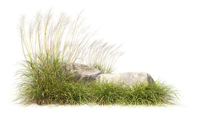 Fototapeta premium Wilderness natural prairie with rocks cut-out backgrounds 3d rendering png