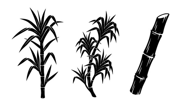 Sugarcane Stalk Silhouette Icons &ndash; Segmented Cane Vector Set