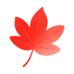 Naklejka premium PNG Vibrant red maple leaf illustration.