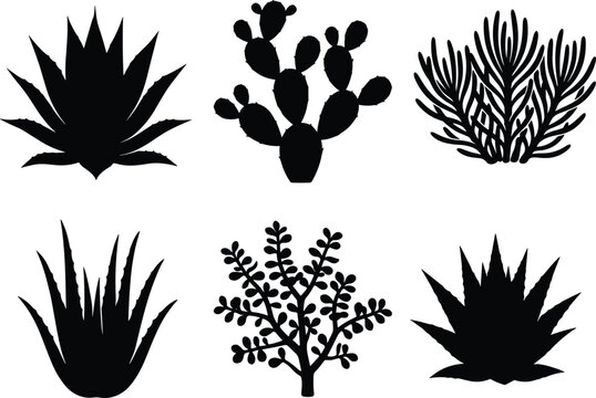 Succulent Plants and Cactus Silhouette Icon Set