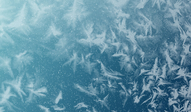 Winter texture background, suitable for Christmas and New Year design projects. White frost patterns and ice crystals forming on a blue surface. Detailed macro view of freezing water droplets