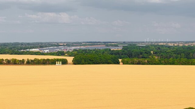 Golden wheat field panorama with distant wind turbines. Rural landscape bordered by forest and agricultural infrastructure beneath dramatic cloudscape across fertile countryside. Renewable energy and