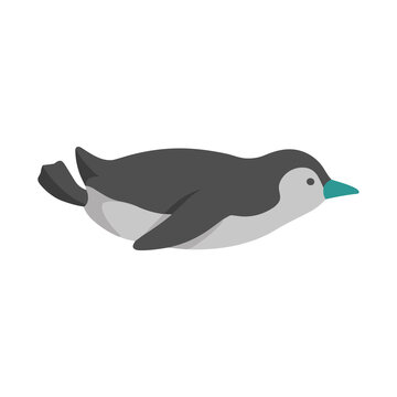 Penguin swimming isolated on transparent background
