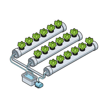 Hydroponics Isometric Scene, Hydroponic system with green lettuce growing in pipes illustration