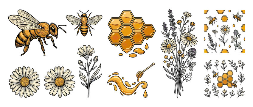Collection of illustrative bees, honeycomb, and flowers