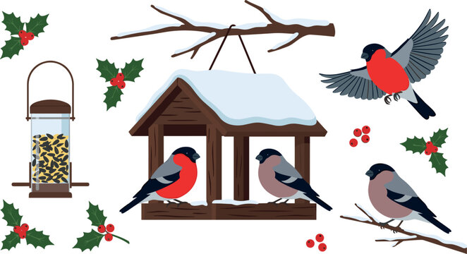 Eurasian Bullfinch Winter Vector Set Featuring Red Breasted Songbirds with Snow Covered Bird Feeder Tree Branches Holly Leaves and Berries