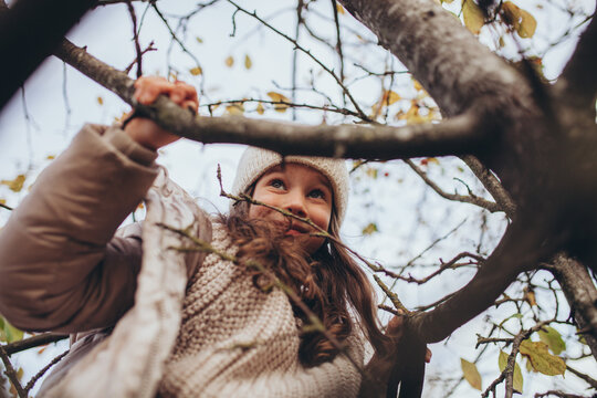 Happy young girl climbing apple tree in autumn. Childhood wonder, curiosity, outdoor adventure, connection between children and nature, freedom, play, and exploration during autumn season.