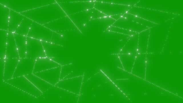 Glowing white particle spider web expanding dynamically, dark halloween cobweb reveal transition overlay animation, spooky illuminated net structure graphic on green background. 4k video
