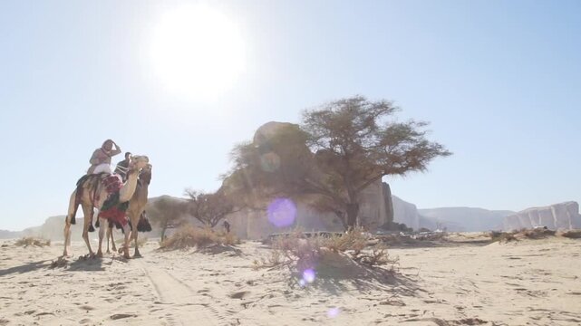 Cinematic shot of camel riders with traditional decorative saddles under bright sunlight near desert tree in AlUla