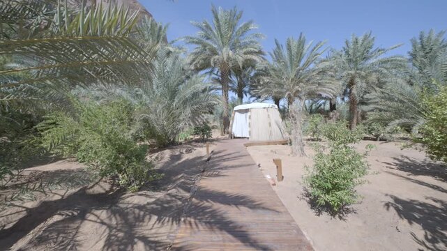 Cinematic shot of secluded rustic reed and palm thatch relaxation hut amidst dense green palm orchards in AlUla farms