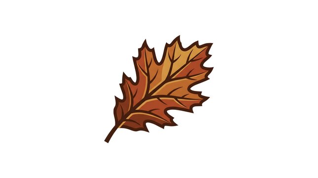Vector illustration of a single brown oak leaf with detailed veins, isolated on a white background, representing autumn or fall seasonal nature
