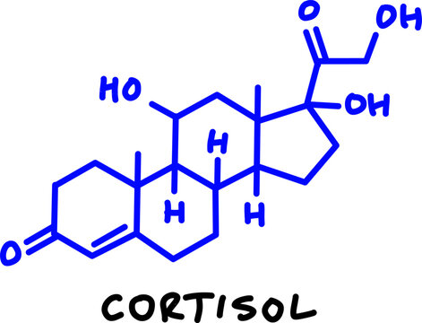 Handwritten chemical structural formula of cortisol stress hormone drawn in blue ink on white isolated background. Science educational concept.