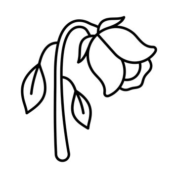 wilting rose line icon