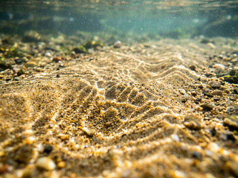 Golden Sunlight Caustics And Ripples On Sandy River Bed Underwater
