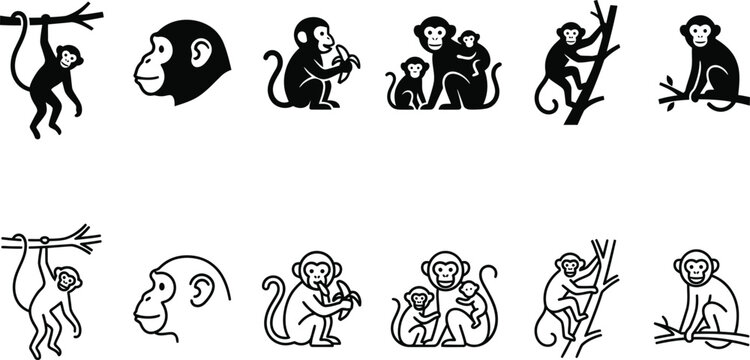 Set of minimal monkey icons and primate silhouettes for wildlife design projects
