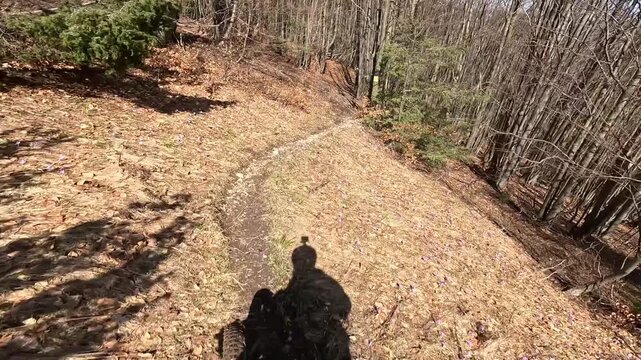 Slow Motion POV GoPro Mountain Biking Downhill Forest Singletrack in Autumn