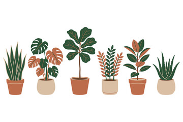 Fototapeta premium Collection of various green houseplants in ceramic pots for modern home interior decoration