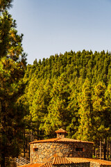 Paisaje en un área recreativa de Gran Canaria. © CarlosHerreros