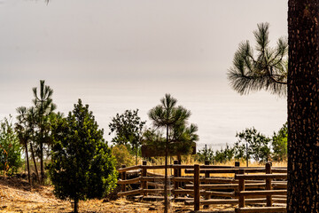 Paisaje en un área recreativa de Gran Canaria. © CarlosHerreros