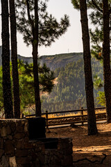 Paisaje en un área recreativa de Gran Canaria. © CarlosHerreros