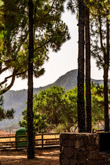 Paisaje en un área recreativa de Gran Canaria. © CarlosHerreros