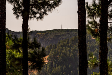 Paisaje en un área recreativa de Gran Canaria. © CarlosHerreros
