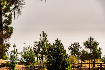 Paisaje en un área recreativa de Gran Canaria. © CarlosHerreros