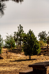 Paisaje en un área recreativa de Gran Canaria. © CarlosHerreros