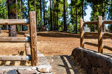 Paisaje en un área recreativa de Gran Canaria. © CarlosHerreros