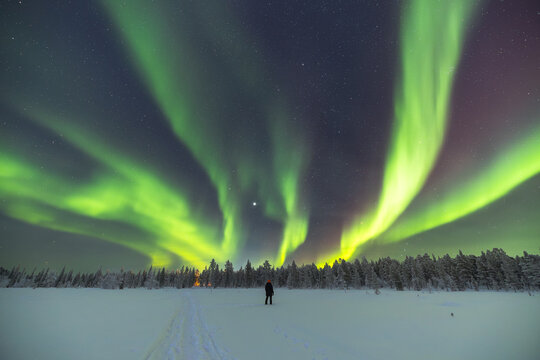 Vivid northern lights dancing above a snow-covered forest and a man near Kiruna, Sweden