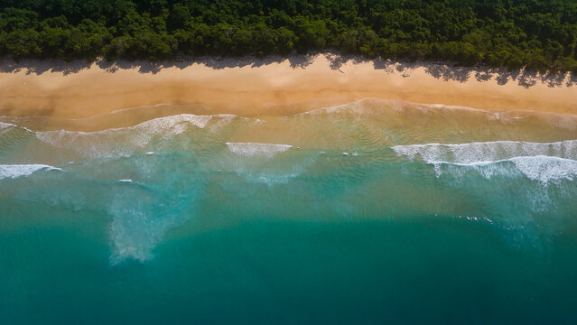 Aerial top down view of the sandy beach and crushing waves