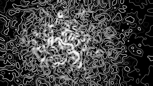 Luxury Dark Texture Featuring Crisp White Topography Lines