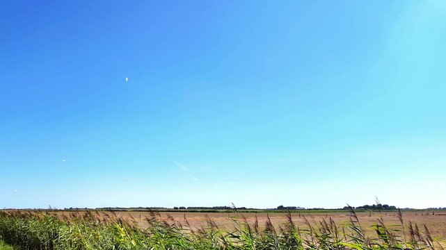Parachutists descending over the landscape of Texel, Netherlands