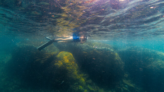 Young slim woman swims underwater, freediving and snorkeling in the sea near the coral reef near the island of Ilha Grande in Brazil