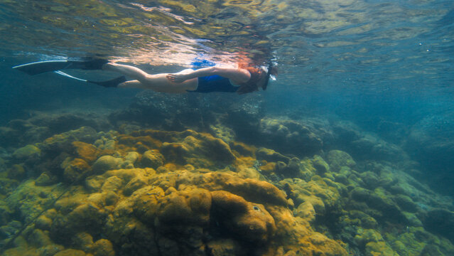 Young slim woman swims underwater, freediving and snorkeling in the sea near the coral reef near the island of Ilha Grande in Brazil