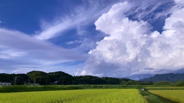 Summer Clouds Over Rice Fields &ndash; 4K Timelapse-seen3