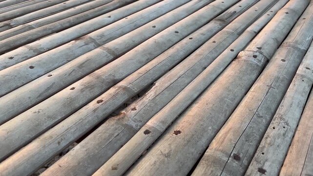 Abstract minimalist texture of raw bamboo stems under sunlight